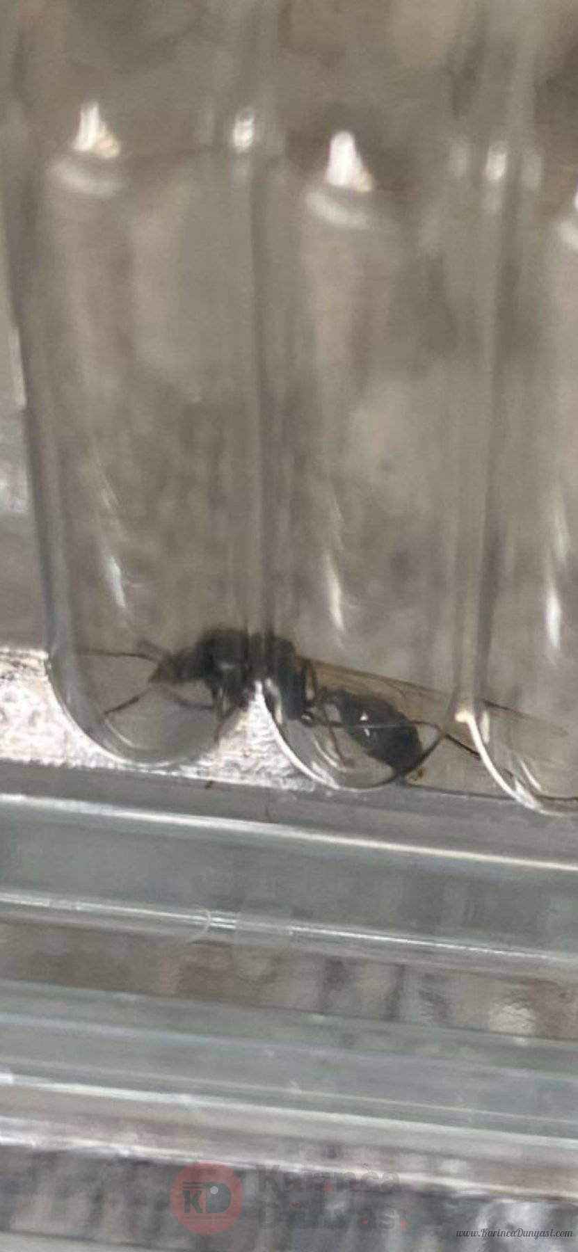 Screenshot_2025-03-25-15-06-59-41_6012fa4d4ddec268fc5c7112cbb265e7.jpg
