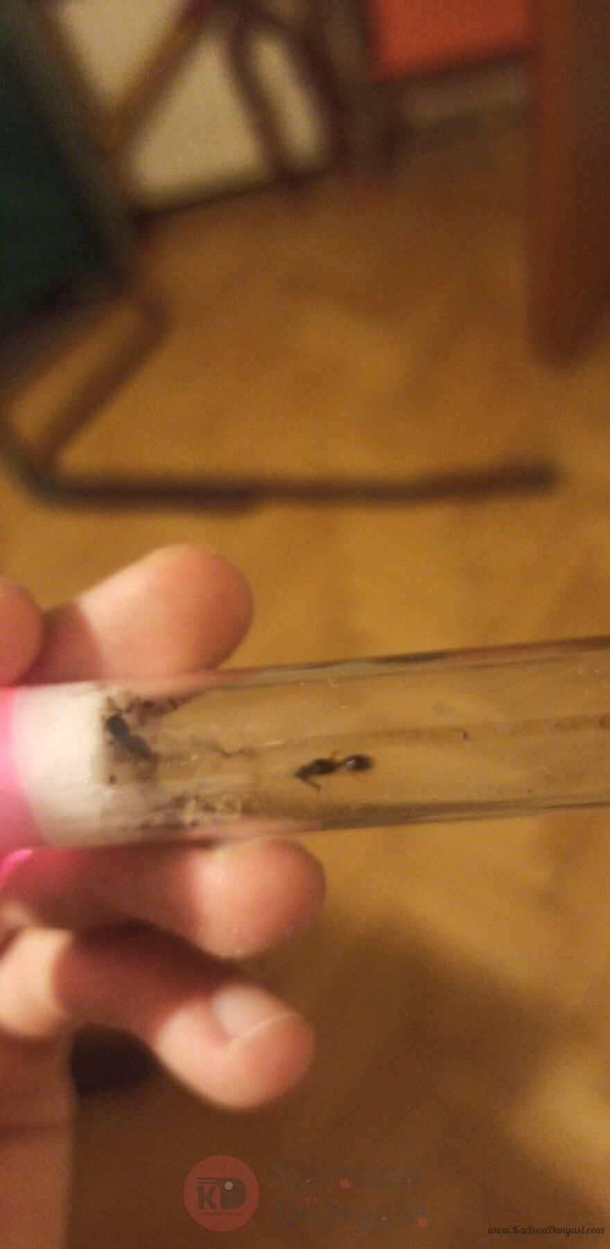 Snapchat-931432700.jpg