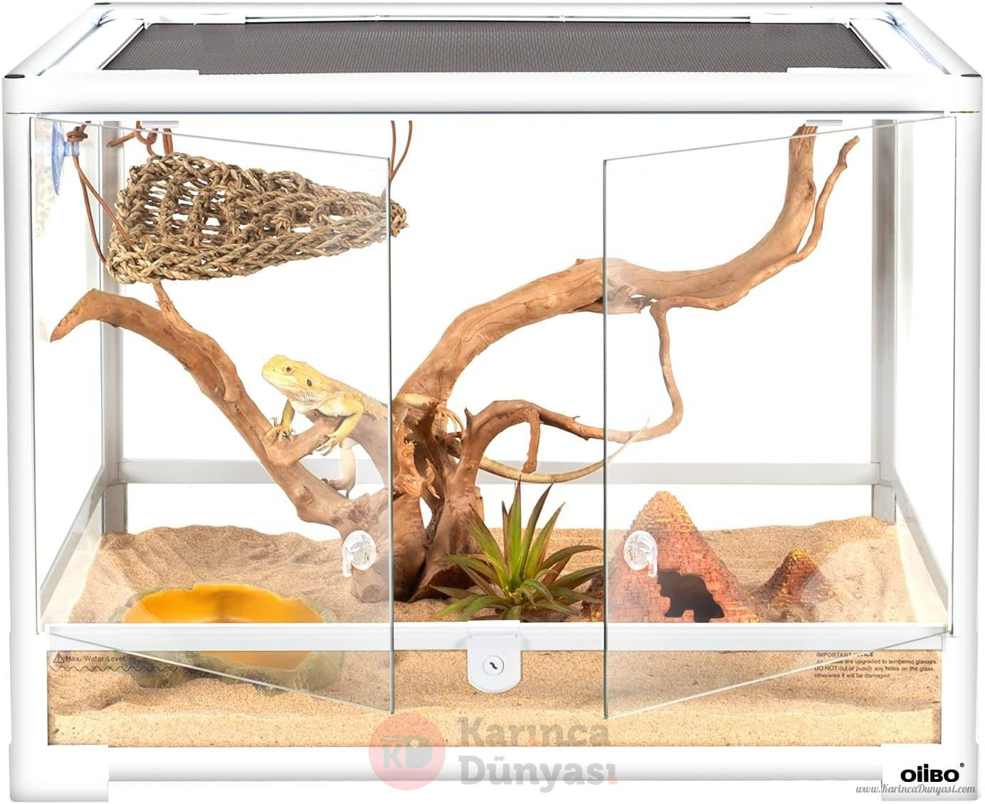 TarantulaYasamAlani03.jpg